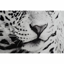 Painting DKD Home Decor 100 x 2,5 x 100 cm Leopard Colonial (2 Units)