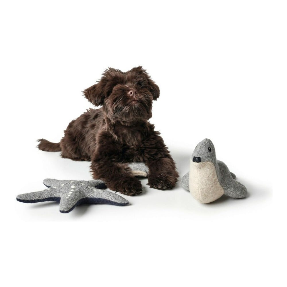 Hundespielzeug Hunter Skagen Dunkelblau Stern