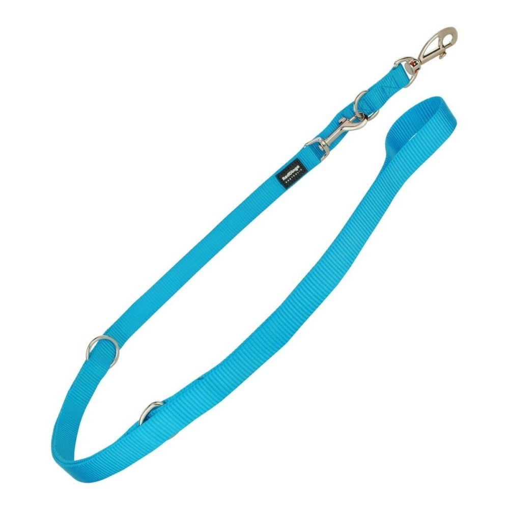 Laisse pour Chien Red Dingo Turquoise (2,5 x 200 cm)