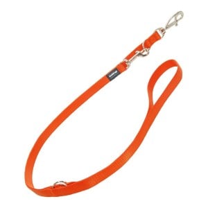 Hundeleine Red Dingo 2 cm x 2m Orange