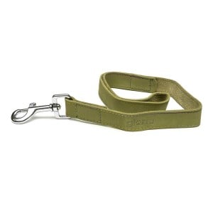 Dog Lead Gloria Oasis 2.1 x 100 cm Green