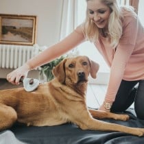 Kardierungbürste Hunter Selbstreinigung