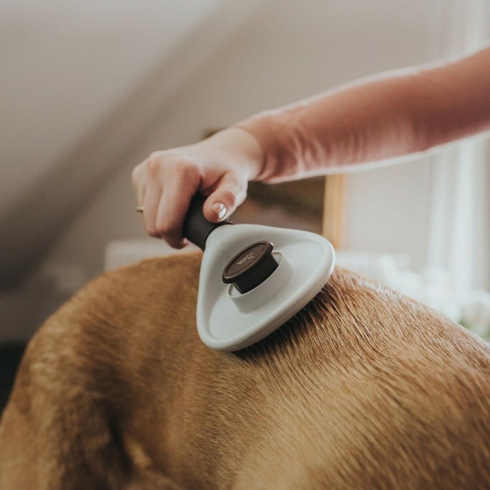 Backcombing brush Hunter Self-cleaning