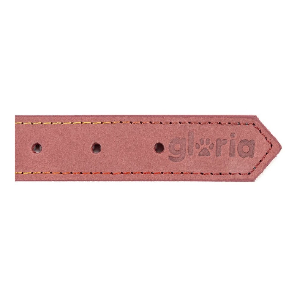 Collier pour Chien Gloria Oasis Rose (1,5 x 40 cm)