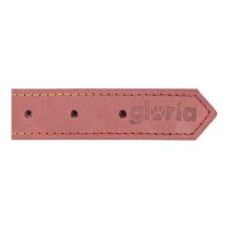 Collier pour Chien Gloria Oasis Rose (1,2 x 35 cm)