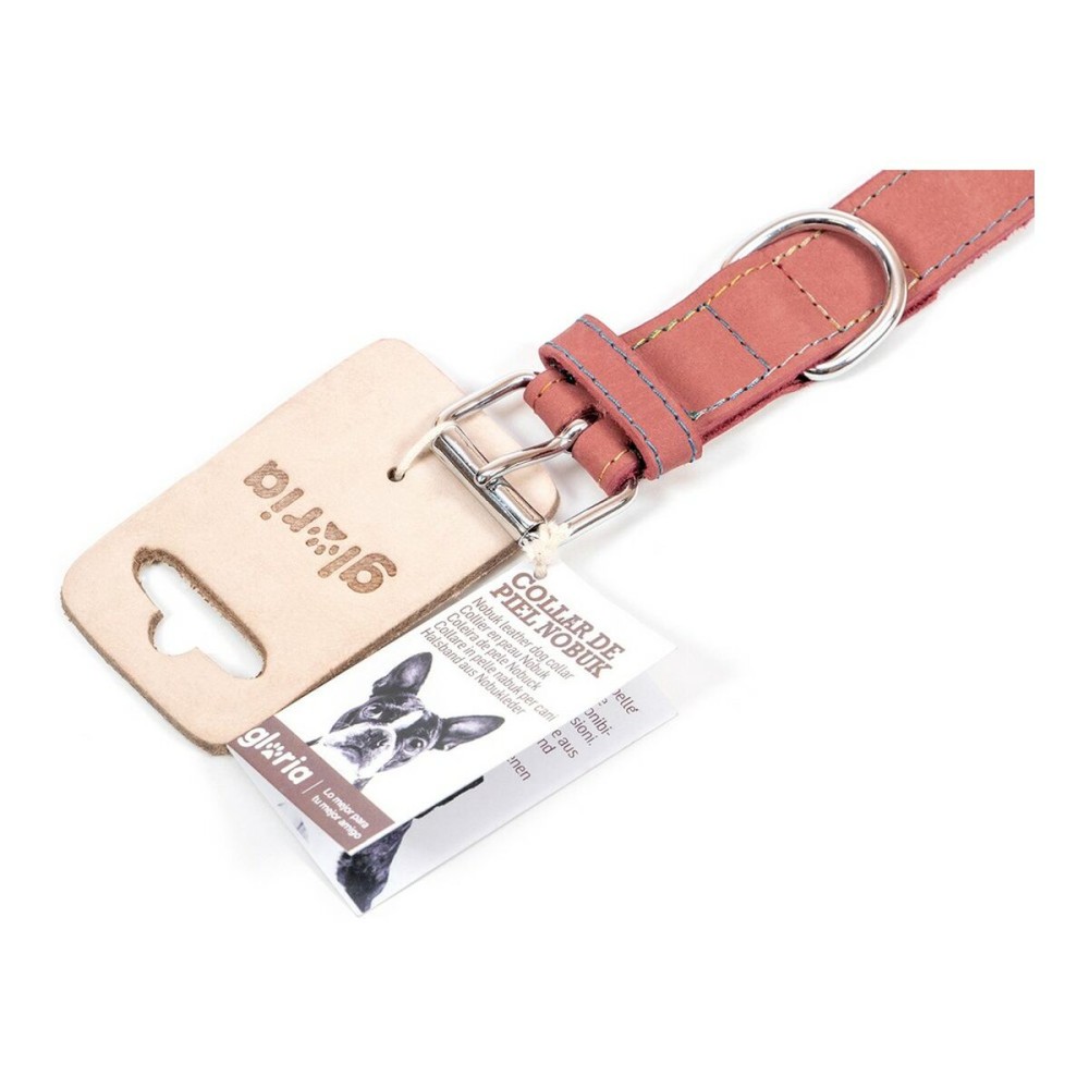 Collier pour Chien Gloria Oasis Rose (1,2 x 35 cm)