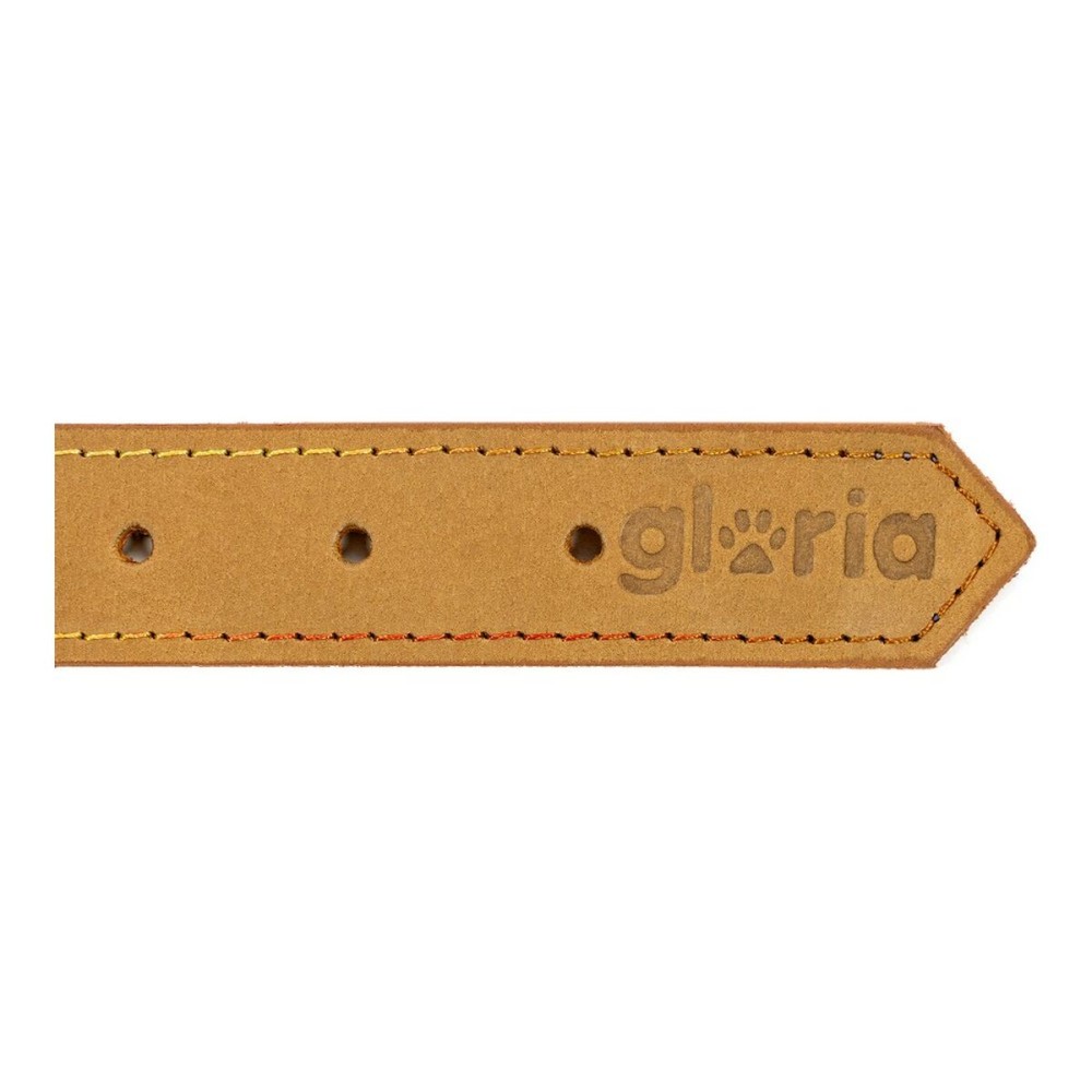 Dog collar Gloria Oasis Yellow (1,5 x 40 cm)