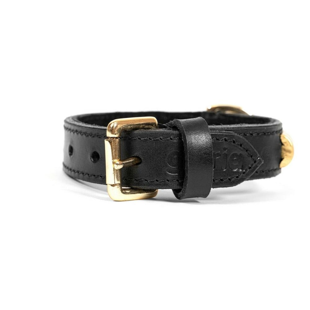 Hundehalsband Gloria Duna Schwarz Gold 55 cm (55 x 2.5 cm)