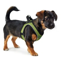 Hundegeschirr Hunter Hilo-Comfort Neongrün XS/S (37-42 cm)