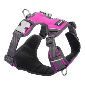 Harnais pour Chien Red Dingo Rembourré L Fuchsia