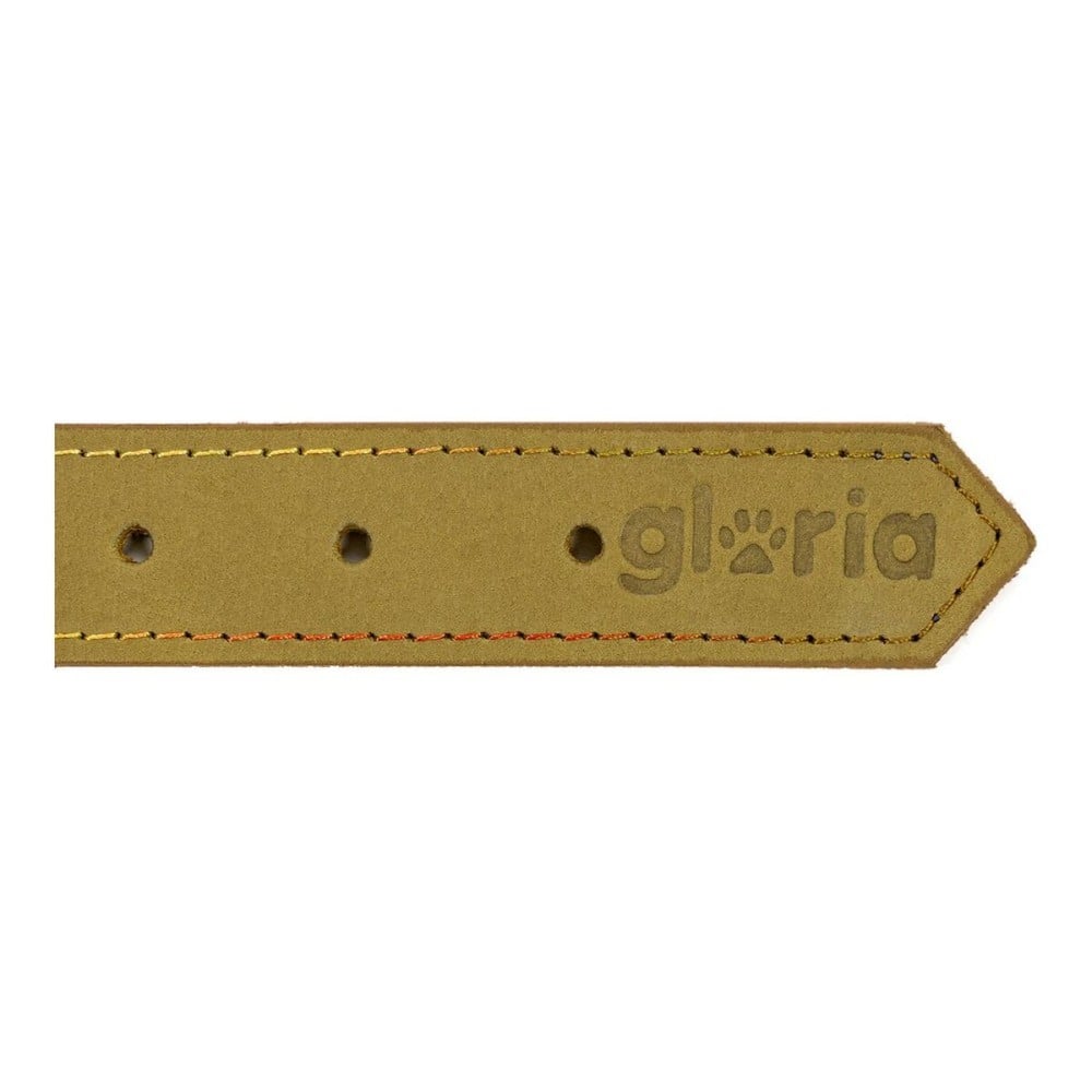 Collier pour Chien Gloria Oasis Vert (35 x 1,2 cm)