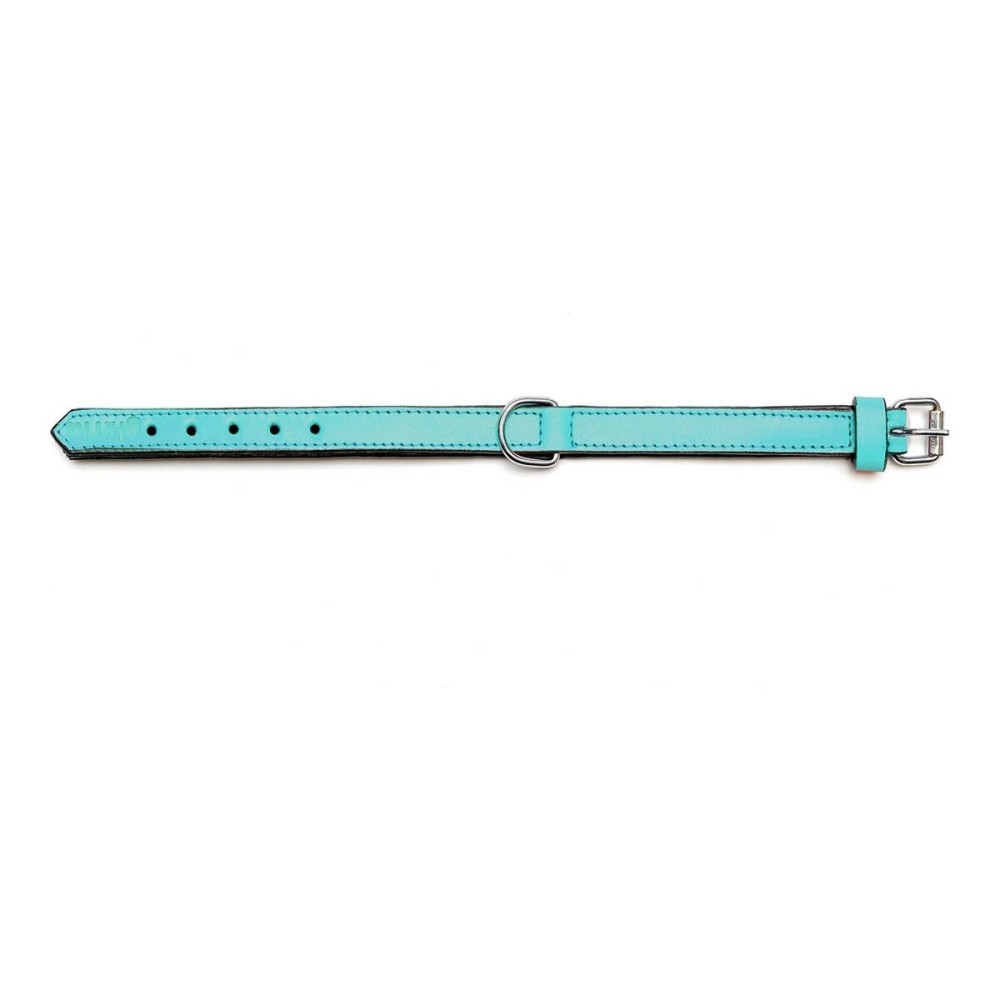 Collier pour Chien Gloria Rembourré Turquoise (35 x 1,5 cm)