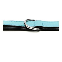 Dog collar Gloria Padded Blue (55 x 2,5 cm)