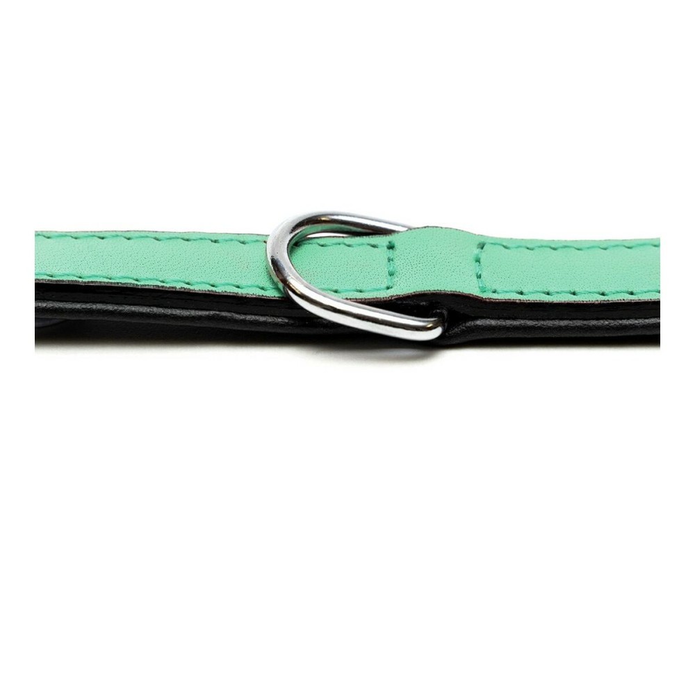 Dog collar Gloria Padded Green (30 x 1,5 cm)