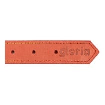 Collier pour Chien Gloria Oasis Rouge (35 x 1,2 cm)