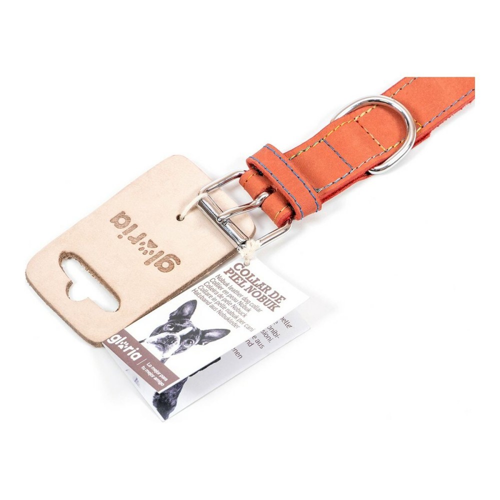 Hundehalsband Gloria Oasis Rot (35 x 1,2 cm)