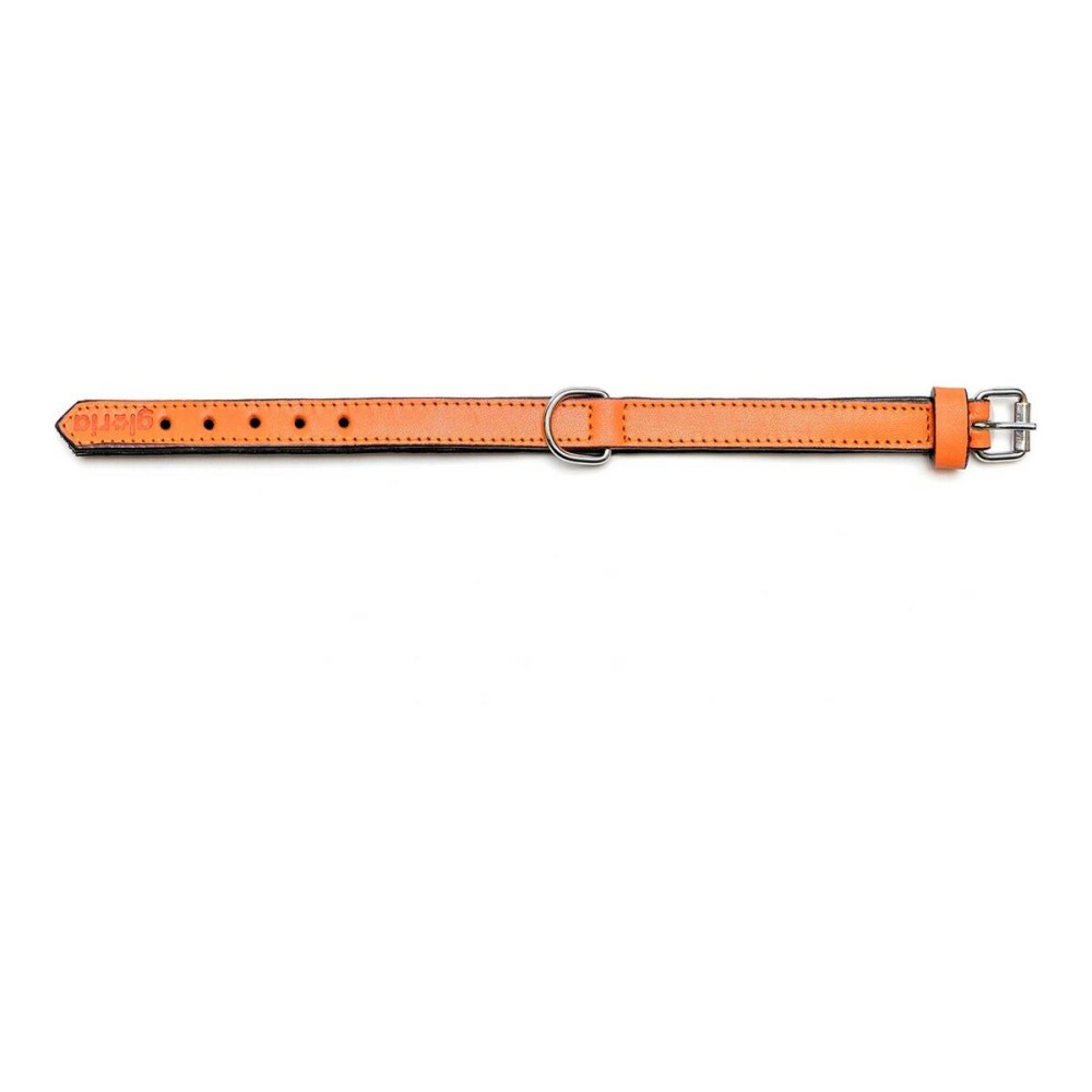 Hundehalsband Gloria Polsterung Orange 55 cm (55 x 2,5 cm)