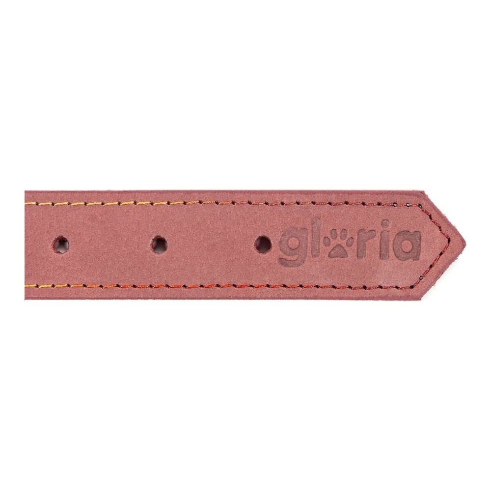 Dog collar Gloria Oasis Pink (65 x 3 cm)