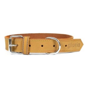 Collier pour Chien Gloria Oasis Jaune (55 x 2,5 cm)