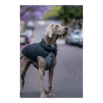 Manteau pour Chien Red Dingo Puffer Noir/Gris 30 cm