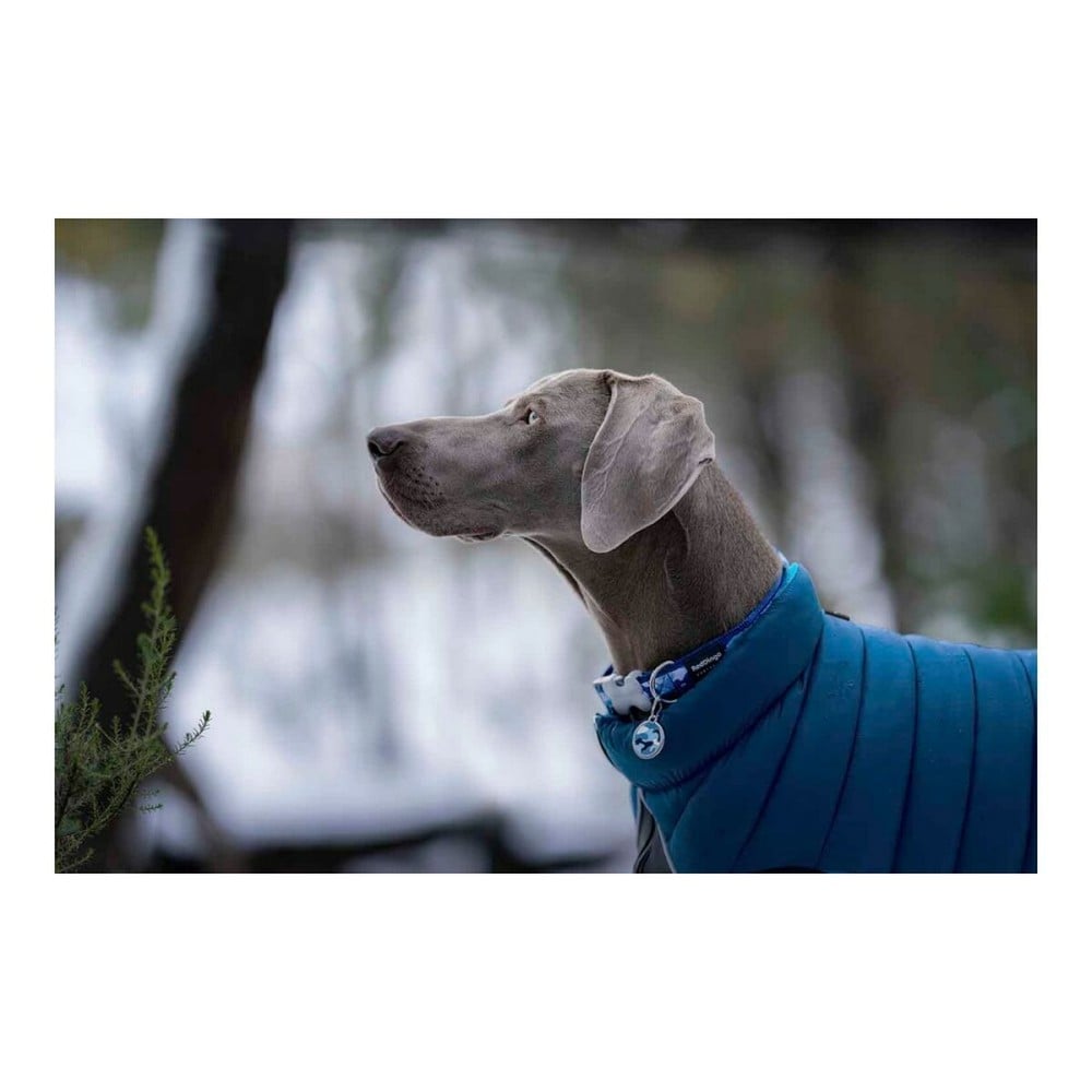 Manteau pour Chien Red Dingo Puffer Turquoise 25 cm