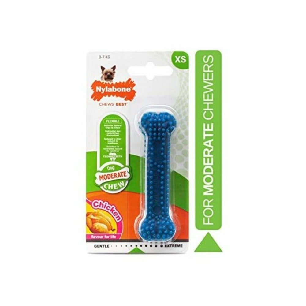 Dog toy Nylabone Small Blue Natural Chicken Thermoplastic XS size