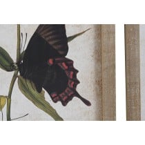 Painting DKD Home Decor Butterflies 40 x 2 x 50 cm Shabby Chic (4 Pieces)