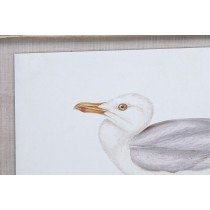 Painting DKD Home Decor 70 x 2,5 x 50 cm Traditional Birds (6 Pieces)