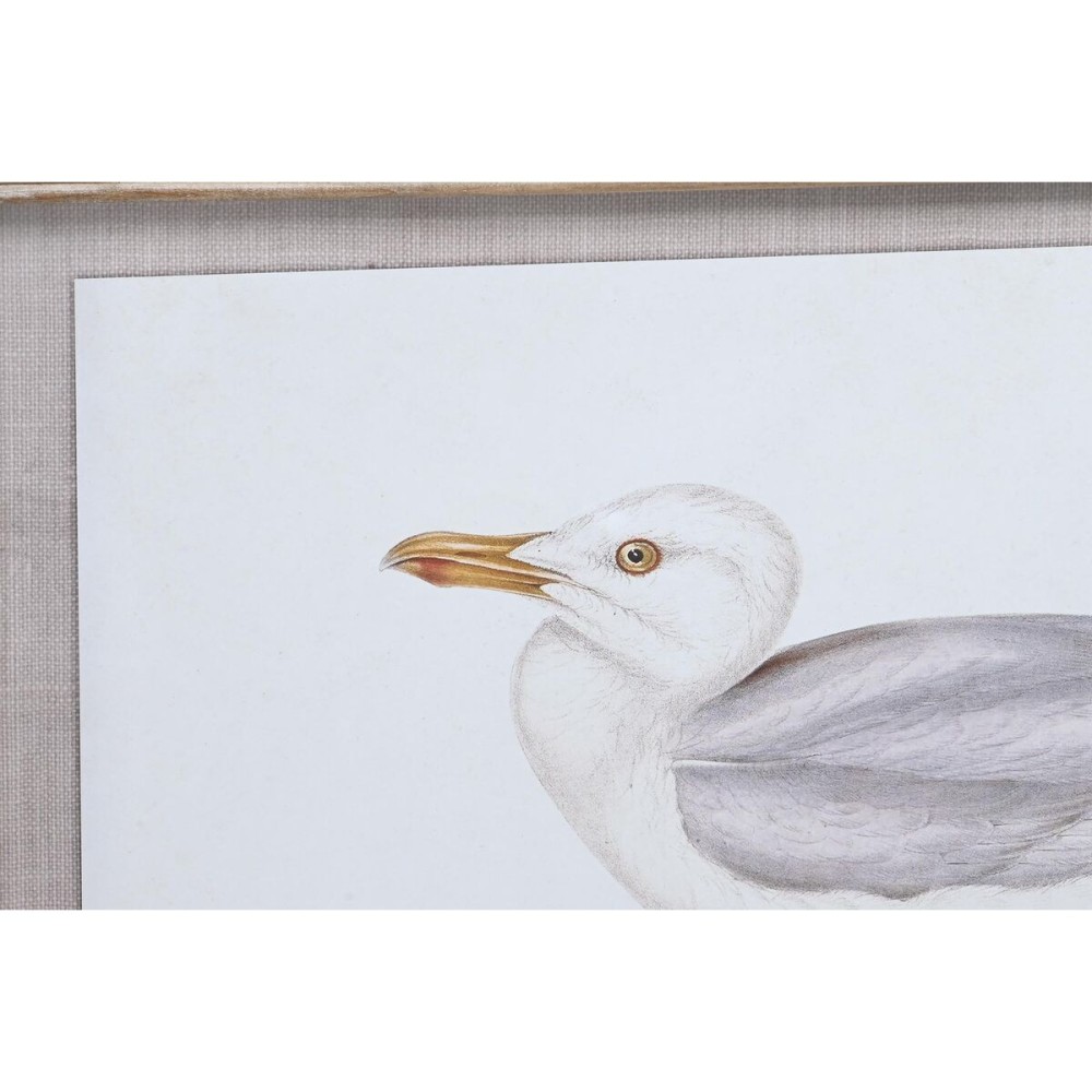 Cadre DKD Home Decor 70 x 2,5 x 50 cm Traditionnel Oiseaux (6 Pièces)