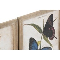 Painting DKD Home Decor Butterflies 40 x 2 x 50 cm Shabby Chic (4 Pieces)