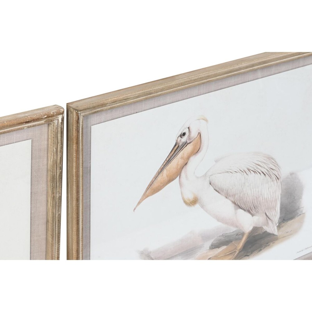 Cadre DKD Home Decor 70 x 2,5 x 50 cm Traditionnel Oiseaux (6 Pièces)