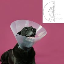 Elizabethan Dog Collar KVP Betsy Transparent (39-48 cm)