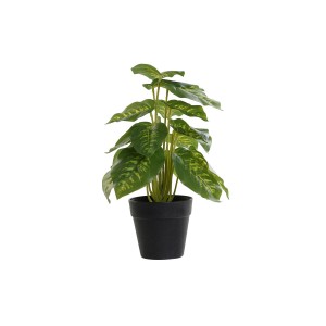 Plante décorative DKD Home Decor PVC polypropylène 20 x 20 x 30 cm