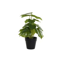 Decorative Plant DKD Home Decor PVC polypropylene 20 x 20 x 30 cm