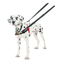 Harnais pour Chien Company of Animals Halti Noir/Rouge Taille M (58-86 cm)