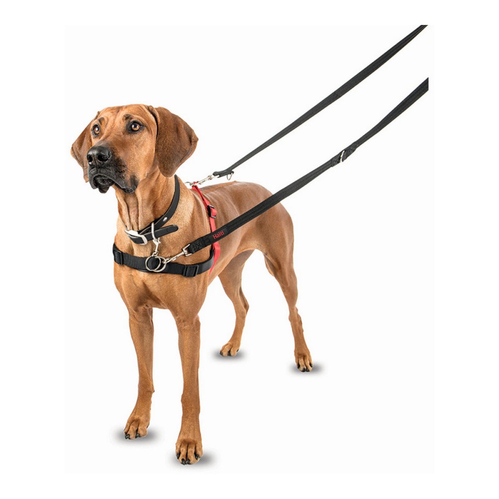 Hundegeschirr Company of Animals Halti Schwarz/Rot M (58-86 cm)