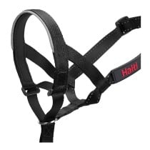 Collier d'entraînement pour chiens Company of Animals Halti Noir Muselière (35-48 cm)