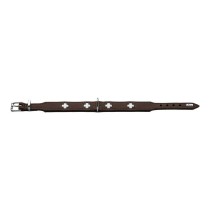 Hundehalsband Hunter Swiss 38-43.5 cm