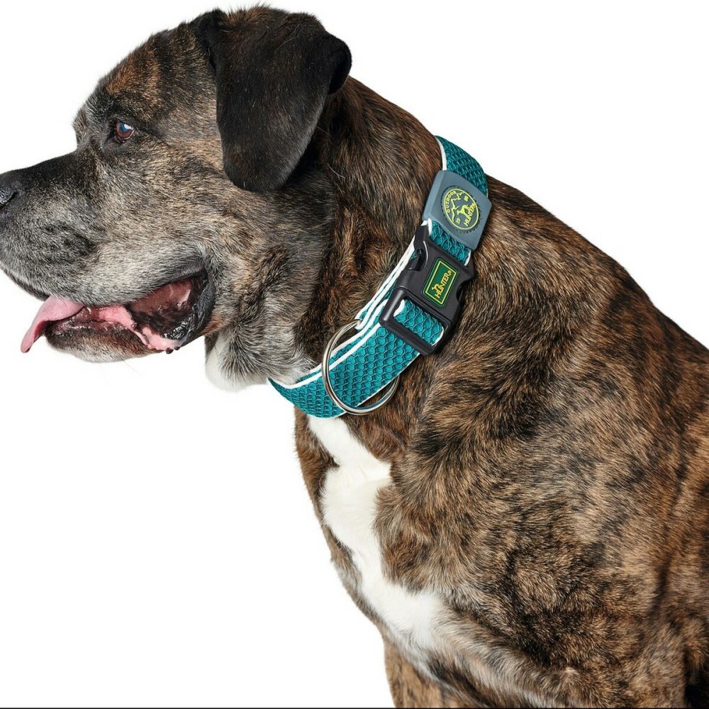 Dog collar Hunter Plus Thread Turquoise 11