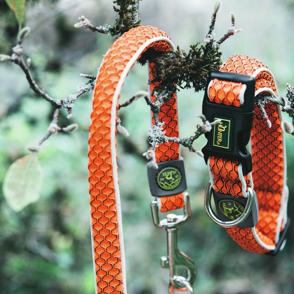 Collier pour Chien Hunter Basic Fil Orange Taille M (33-50 cm)