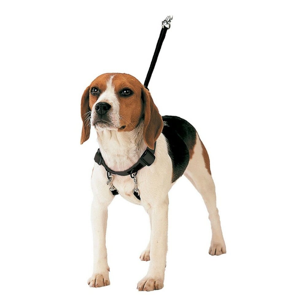 Hundegeschirr Gloria 40-60 cm L