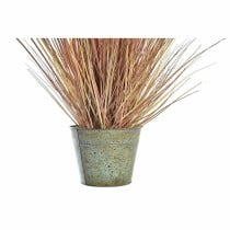 Decorative Plant DKD Home Decor Orange Polyethylene Burgundy Brass 20 x 20 x 90 cm (2 Units)