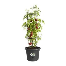 Pot Elho Basics Tomato Noir (Ø 33 cm)