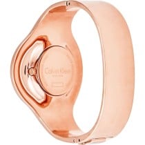 Ladies' Watch Calvin Klein K8C2S616