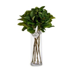 Branche Ibergarden YD130615 Vert Plastique 80 cm Volets (12 Unités)