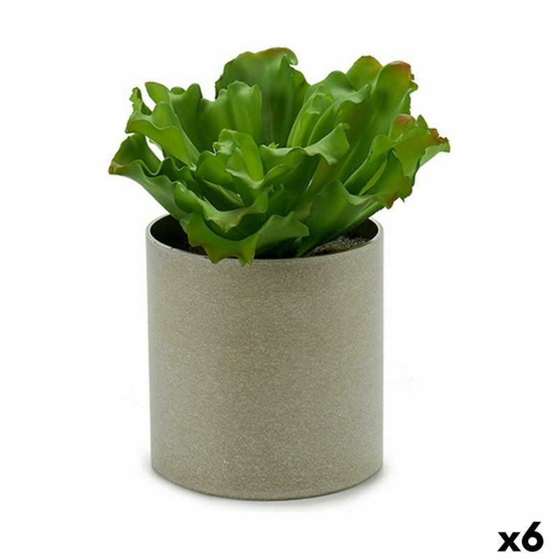 Plante décorative Ibergarden YC181588 20 x 25 x 20 cm (6 Unités)