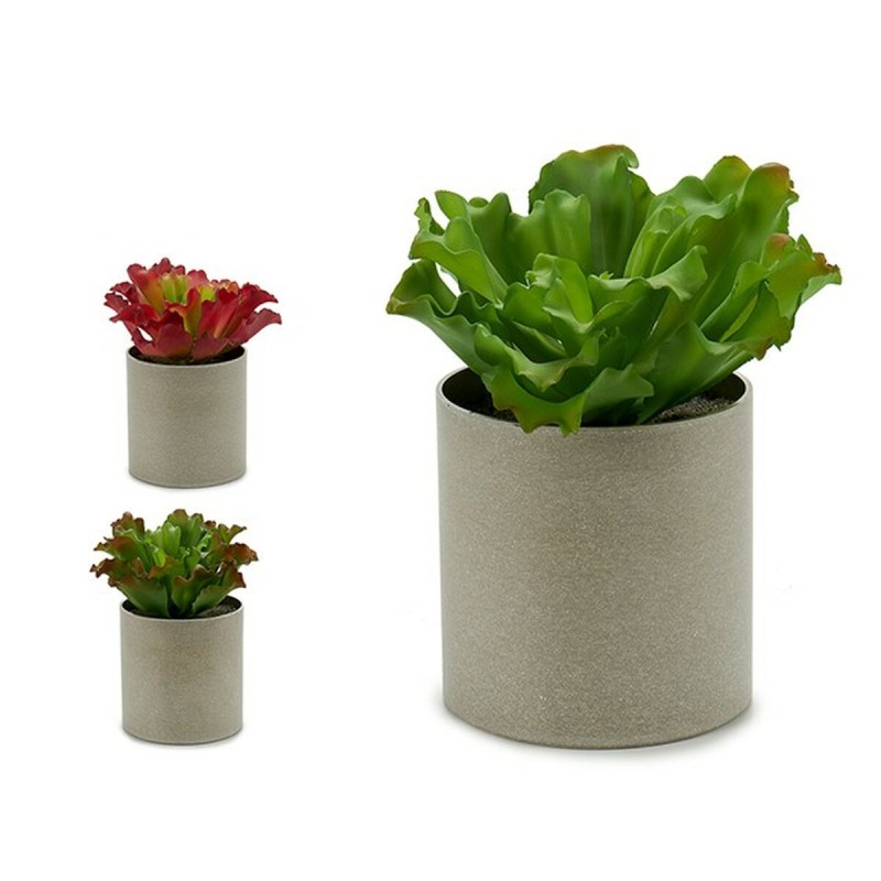 Plante décorative Ibergarden YC181588 20 x 25 x 20 cm (6 Unités)