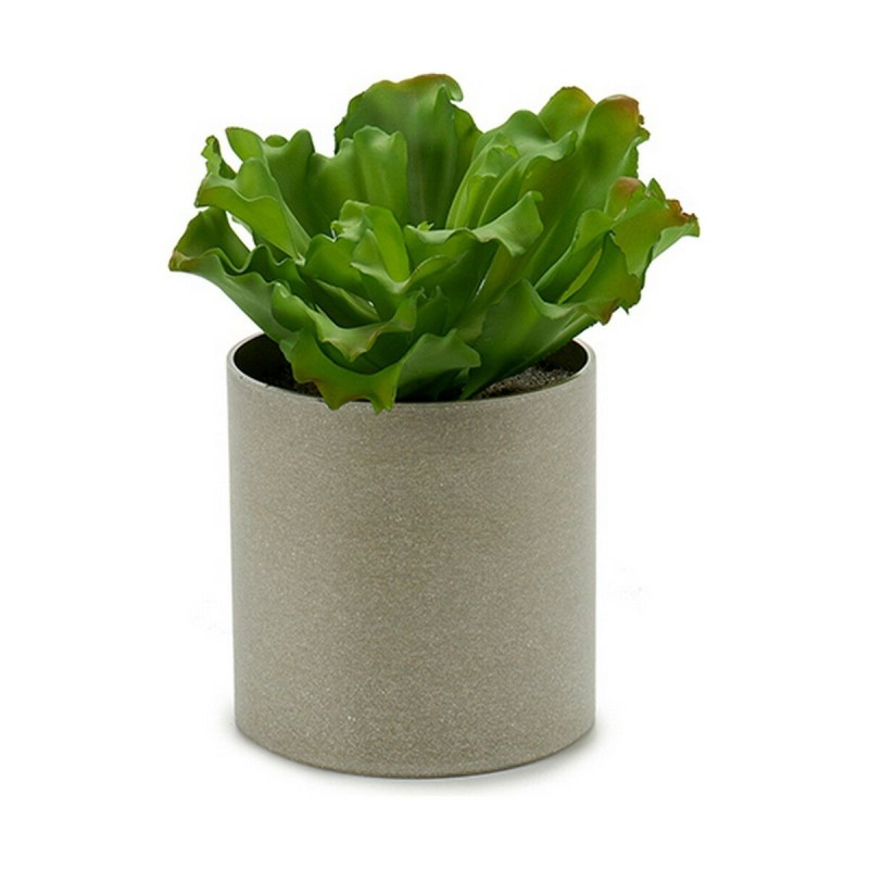 Plante décorative Ibergarden YC181588 20 x 25 x 20 cm (6 Unités)