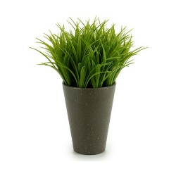 Plante décorative Plastique 11 x 18 x 11 cm Vert Gris (12 Unités)