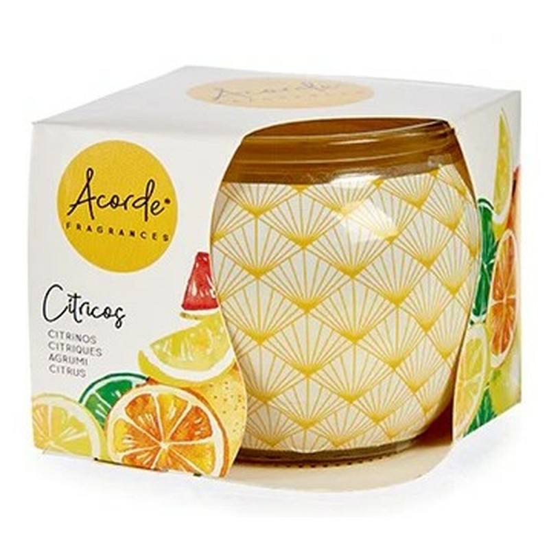 Scented Candle Acorde S.S. CITRUS Citric (12 Units)